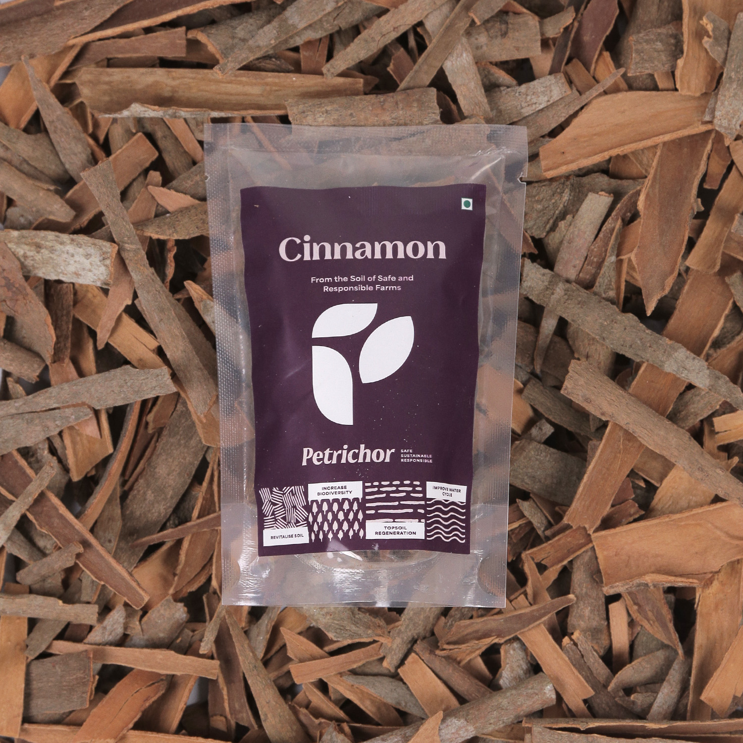 PTR CINNAMON 100GM