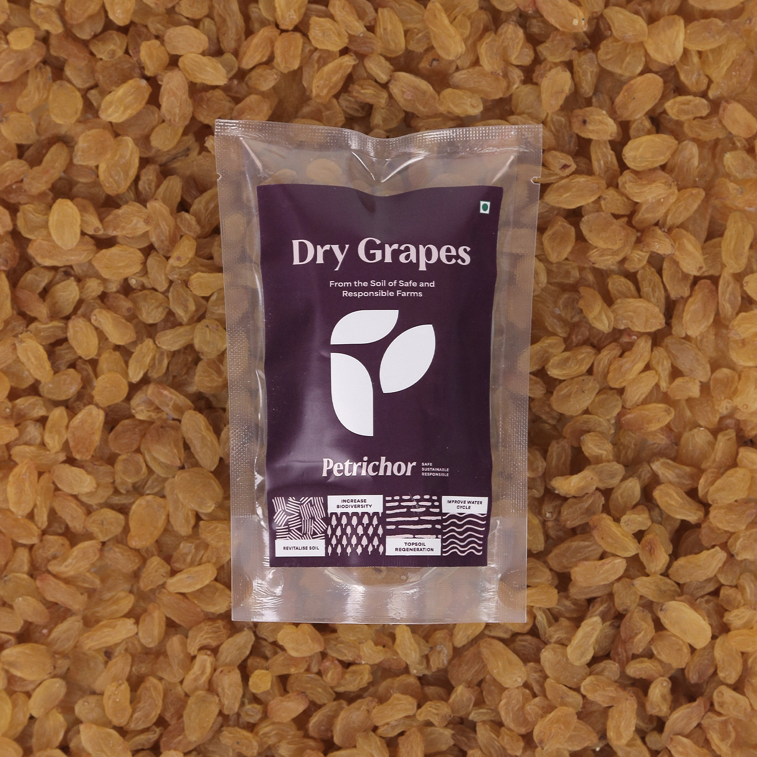 PTR DRY GRAPES 100G