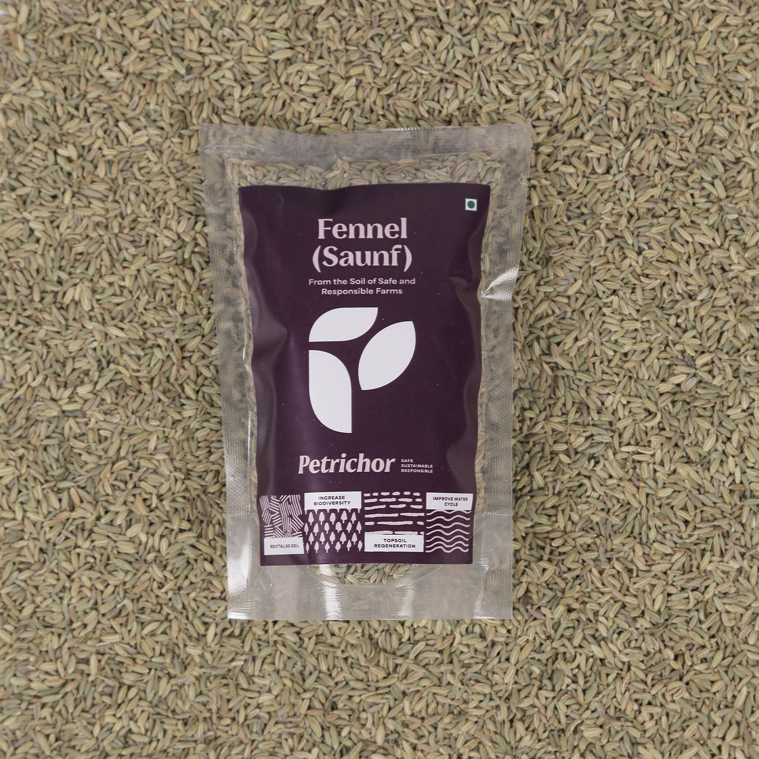 PTR FENNEL SAUNF 100GM