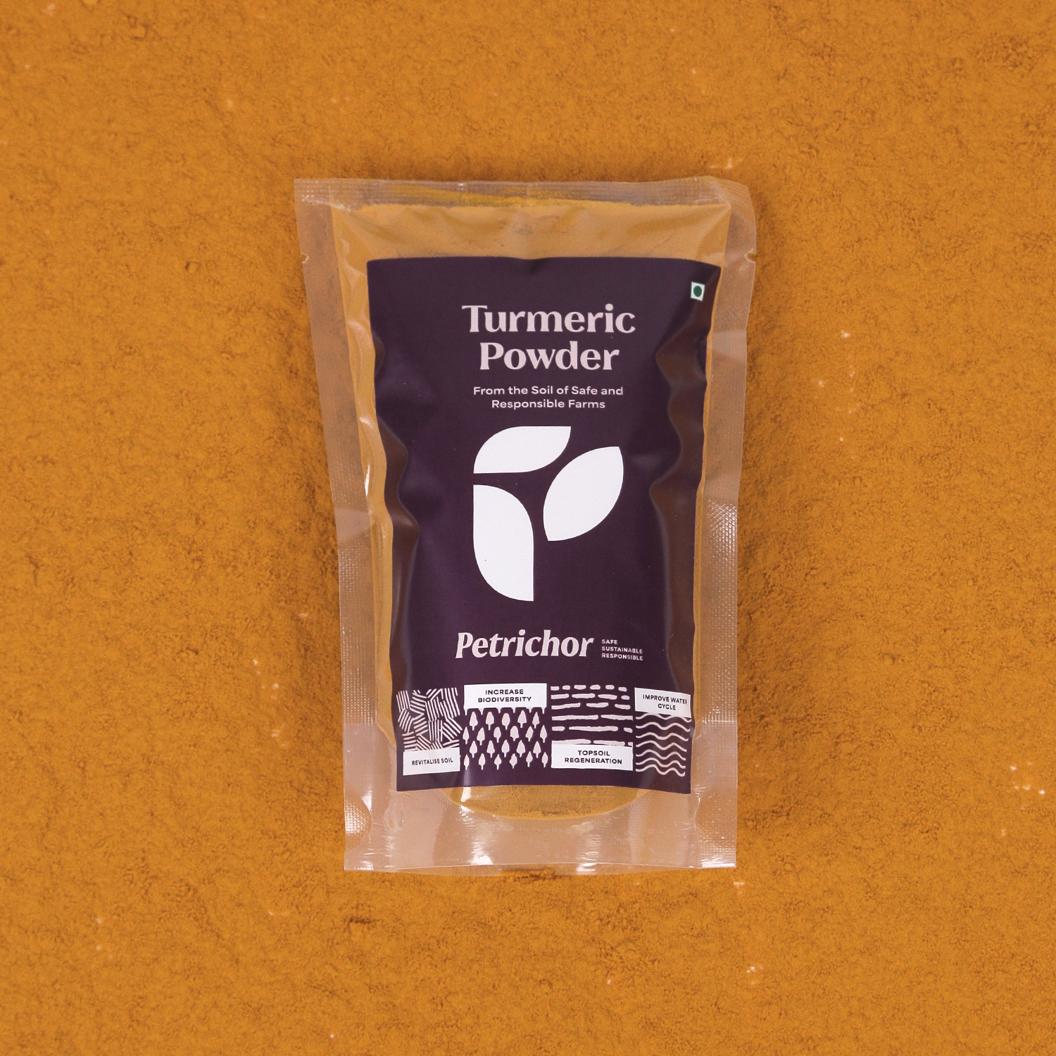 PTR TURMERIC POWDER 100GM